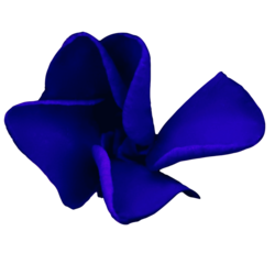 Logo of Jahrestraining Philosophie der Freiheit